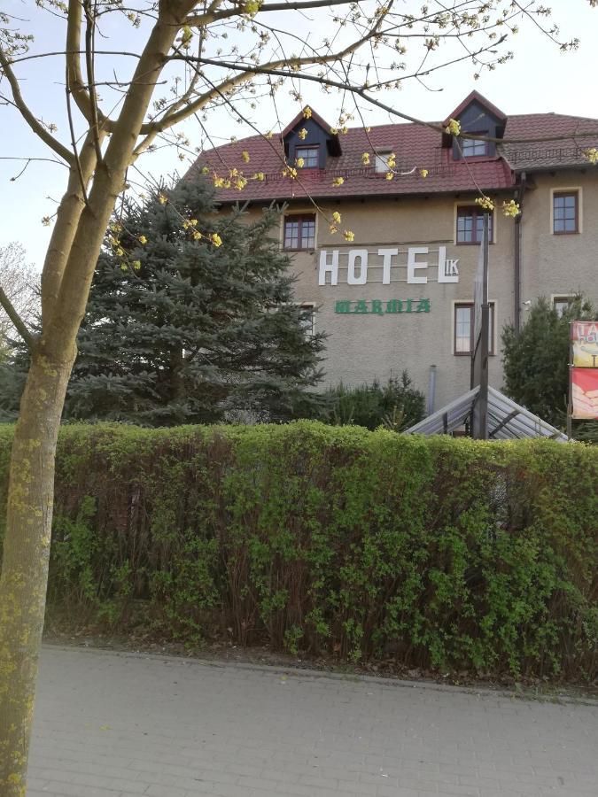 Hotelik Warmia -Pensjonat, Hostel Лидзбарк-Варминьский Экстерьер фото