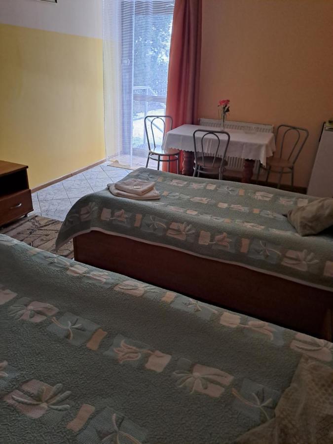 Hotelik Warmia -Pensjonat, Hostel Лидзбарк-Варминьский Экстерьер фото